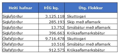 Úthlutun til Fjallabyggðar Úthlutun til Fjallabyggðar