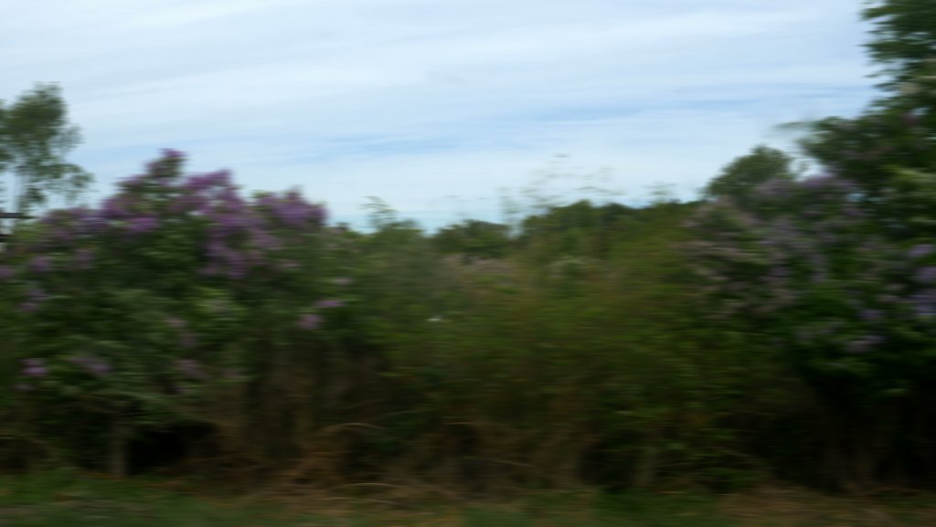 Tumi Magnússon - Almenningsssamgöngur  