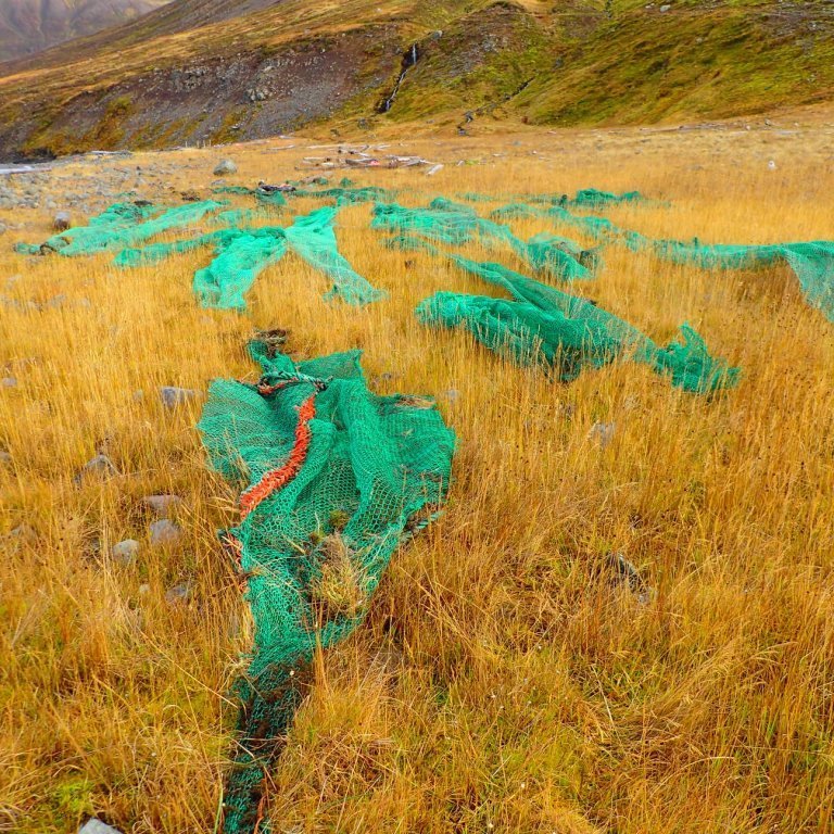 2-dragnotarraeksni-lagu-vida