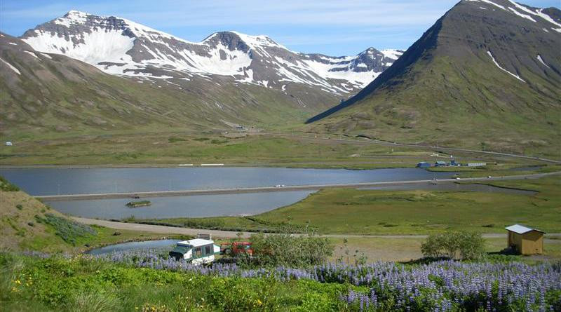 Mynd: Magnús Magnússon