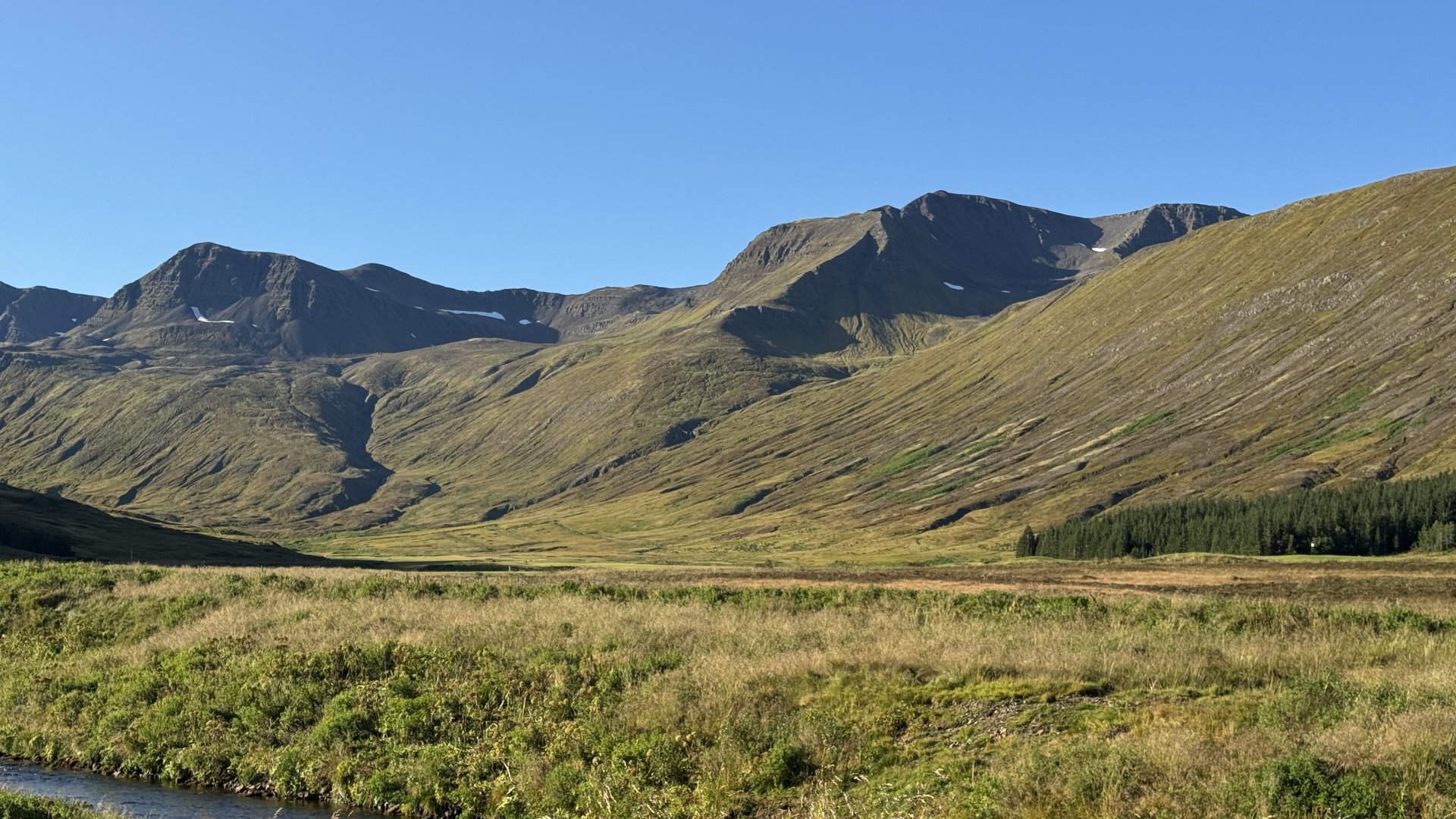 Hólsdalur
