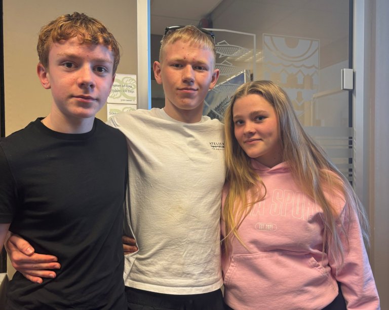 Anton Elías Viðarsson, Steingrímur Árni Jónsson, Tinna Hjaltadóttir.
