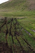 Hjólför sem þessi eru lengi að gróa og eru til lítillar prýði.